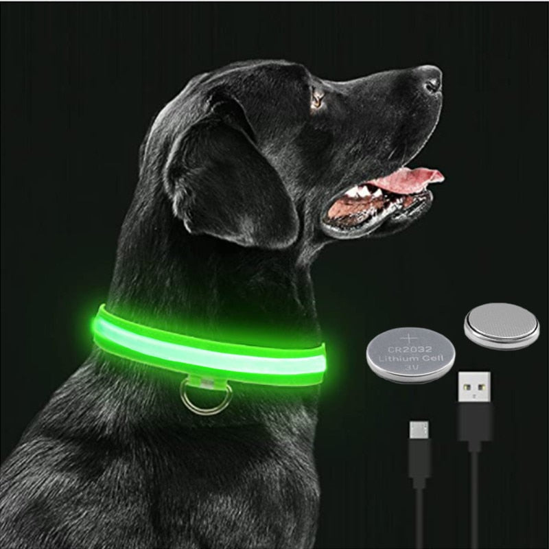 Coleira LED Brilhante Para Pets