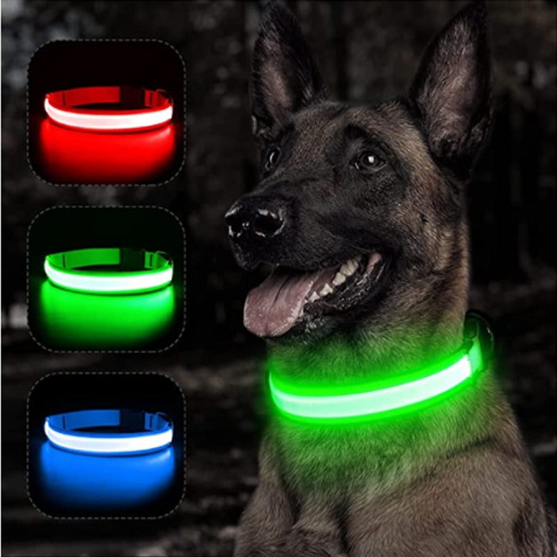 Coleira LED Brilhante Para Pets