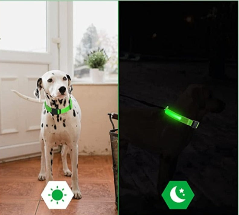 Coleira LED Brilhante Para Pets